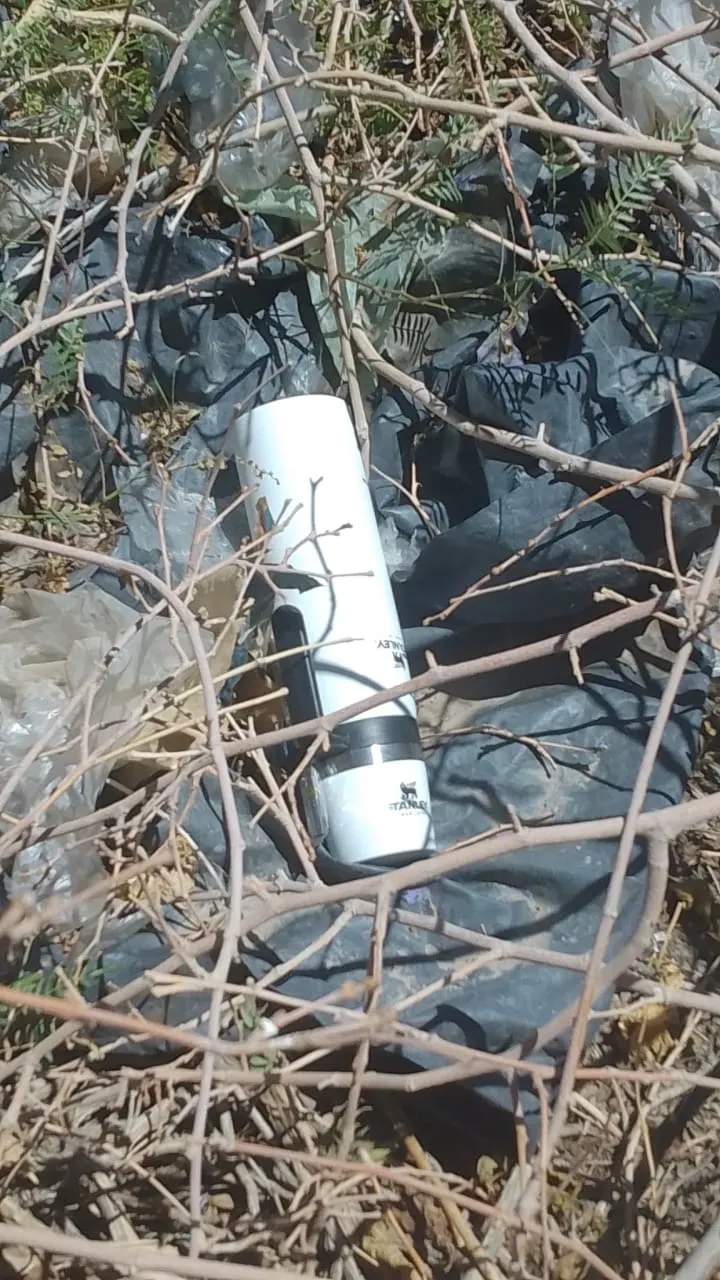 WhatsApp Image 2024-11-22 at 07.38.26