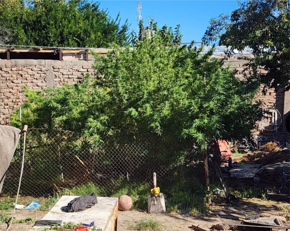 WhatsApp Image 2026-04-09 at 23.31.51