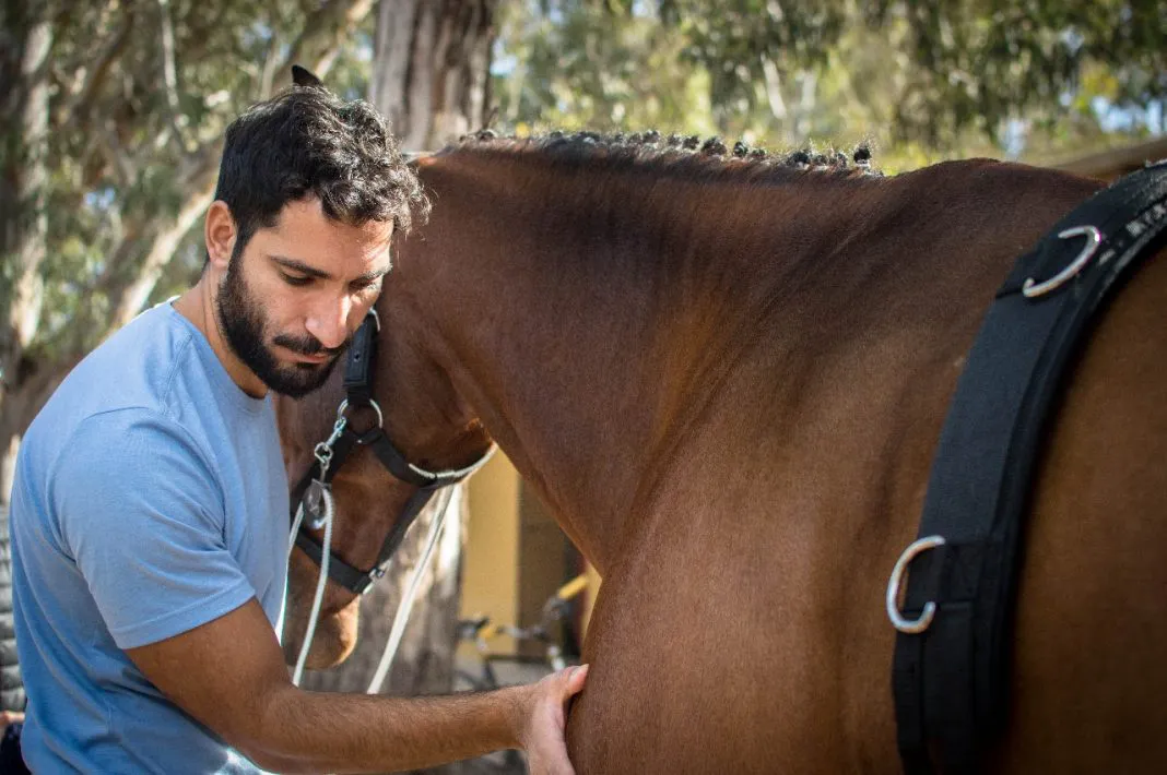 multimedia.normal.9ad173b5fca5a749.bm9ybWFsLndlYnA=