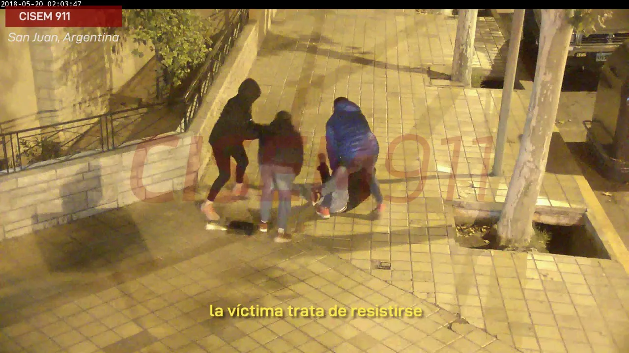 robo cámaras de seguridad