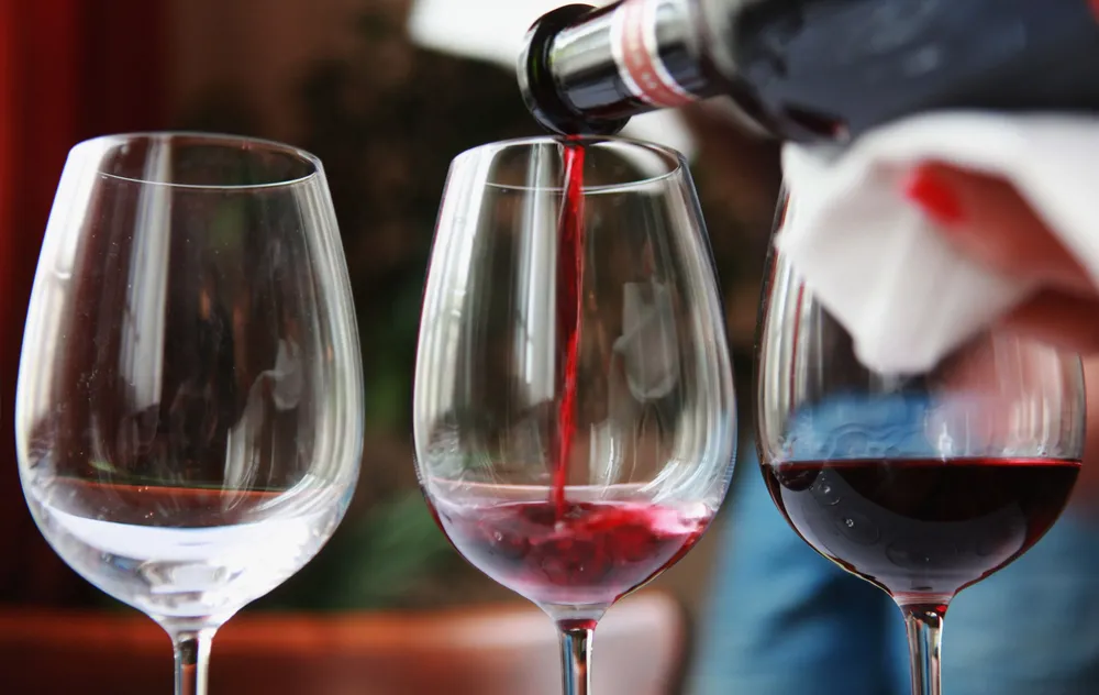 cata de vinos