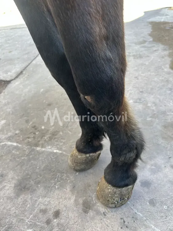 WhatsApp Image 2024-06-21 at 11.03.43 PM