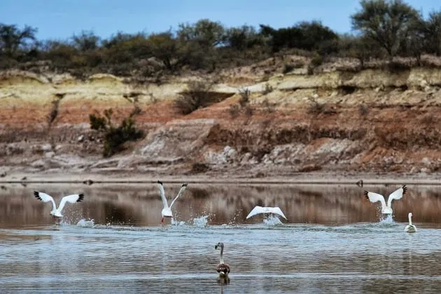 lagunas