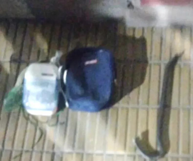 Adolescente detenido