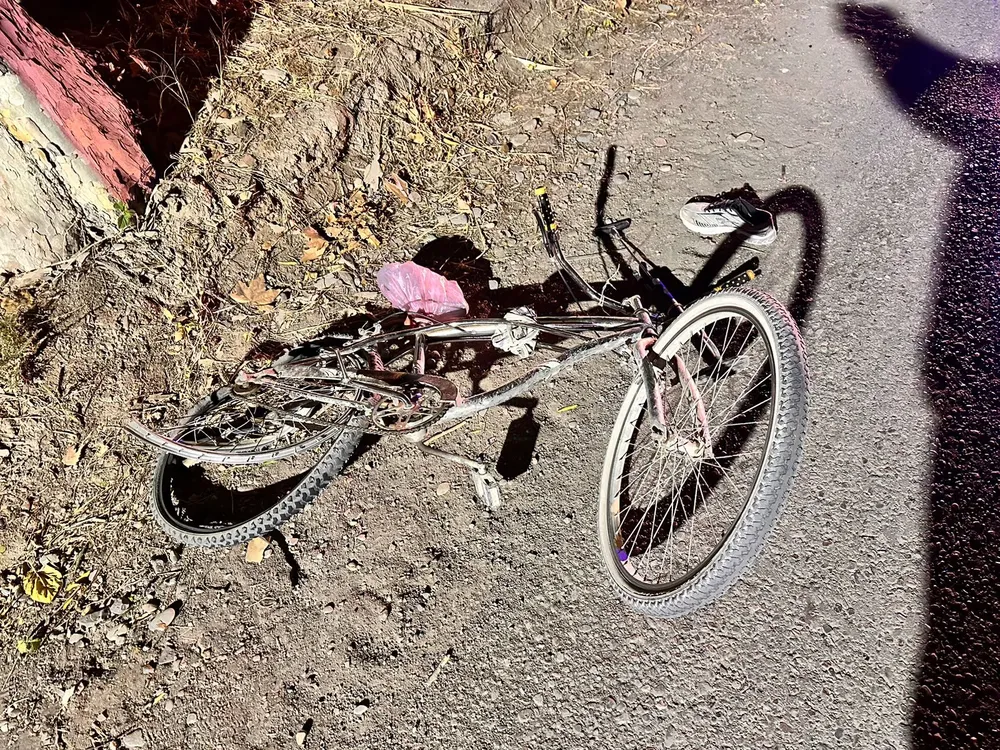 WhatsApp Image 2024-05-31 at 7.18.21 AM