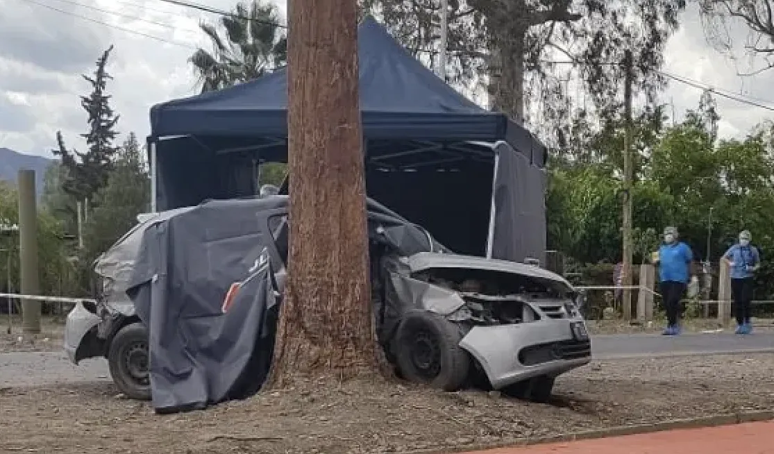 Captura de pantalla 2024-11-21 a la(s) 8.07.01 a. m.