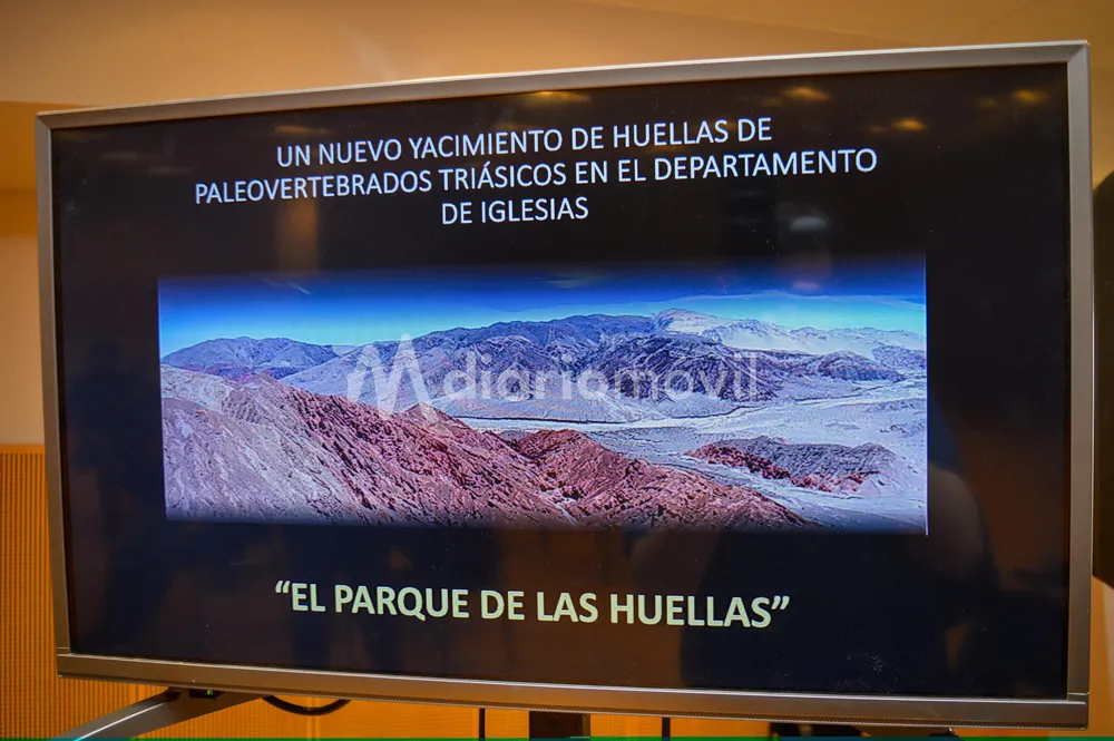 WhatsApp Image 2024-11-13 at 10.25.33