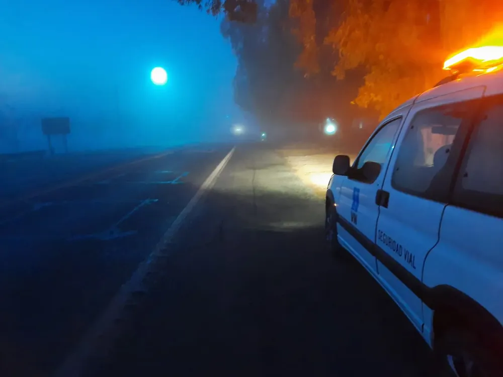 WhatsApp Image 2024-05-27 at 7.54.44 AM (1)