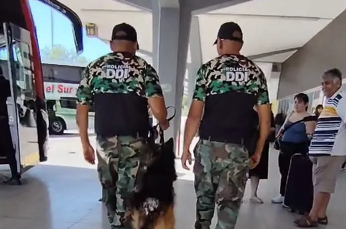 perro terminal