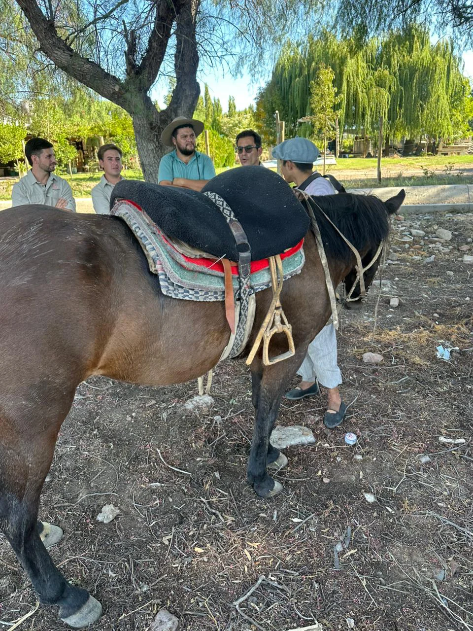 WhatsApp Image 2026-03-31 at 23.17.55