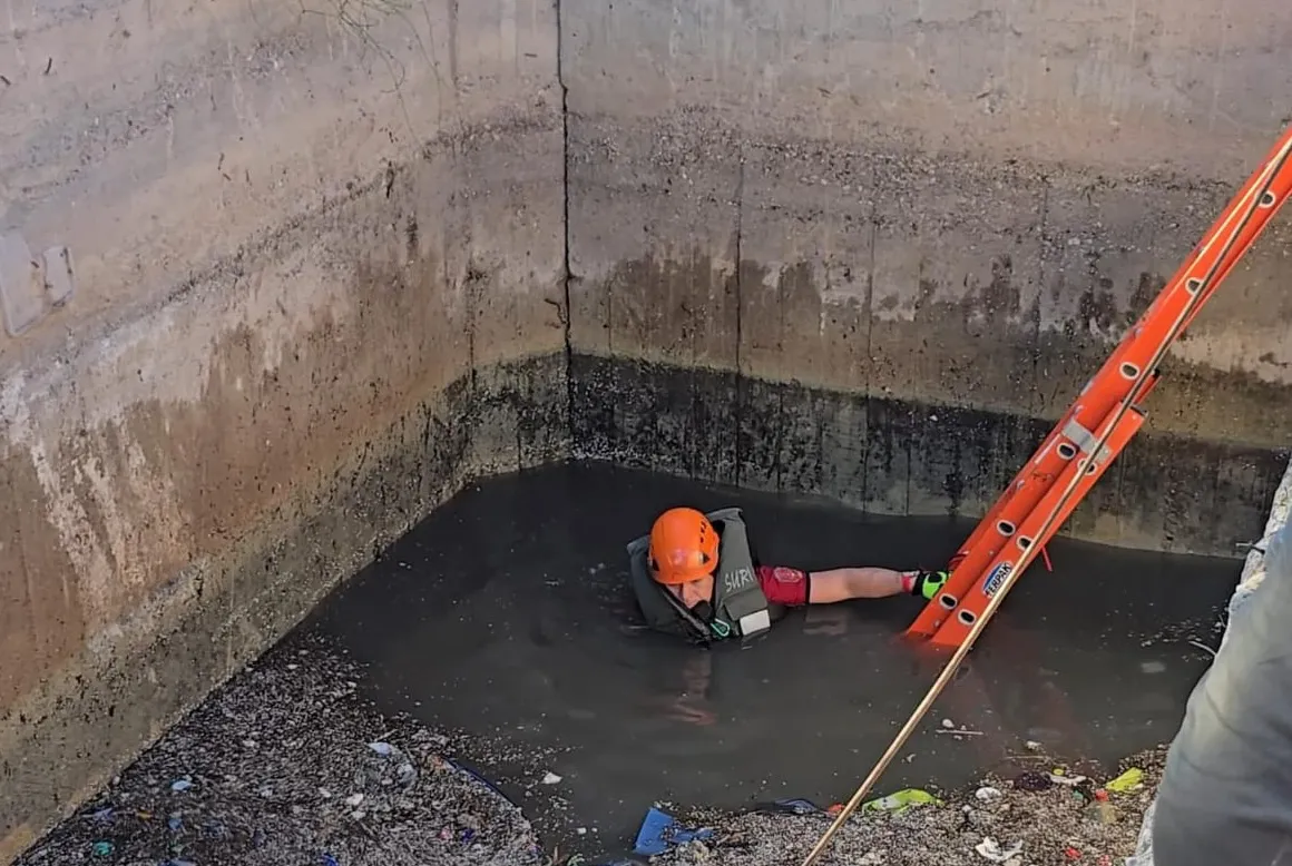 25f1d5de-9eff-4465-a2b7-3692c787a561