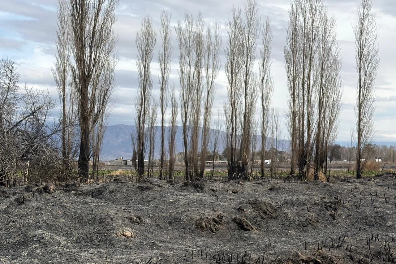incendio viento zonda ruinas familias pérdidas