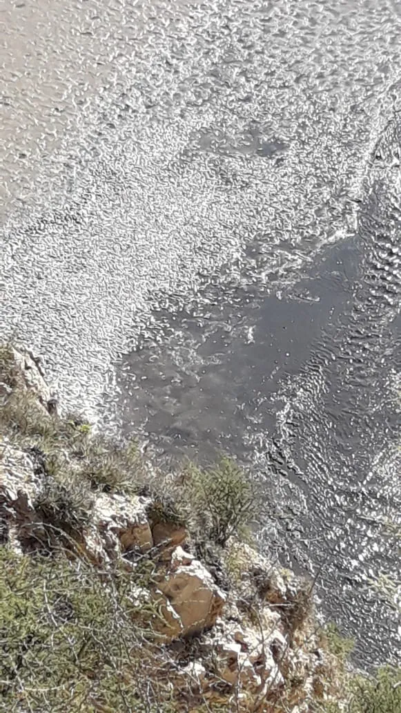 ada0f8ae-5991-414e-a37c-bb3a74cce1a6