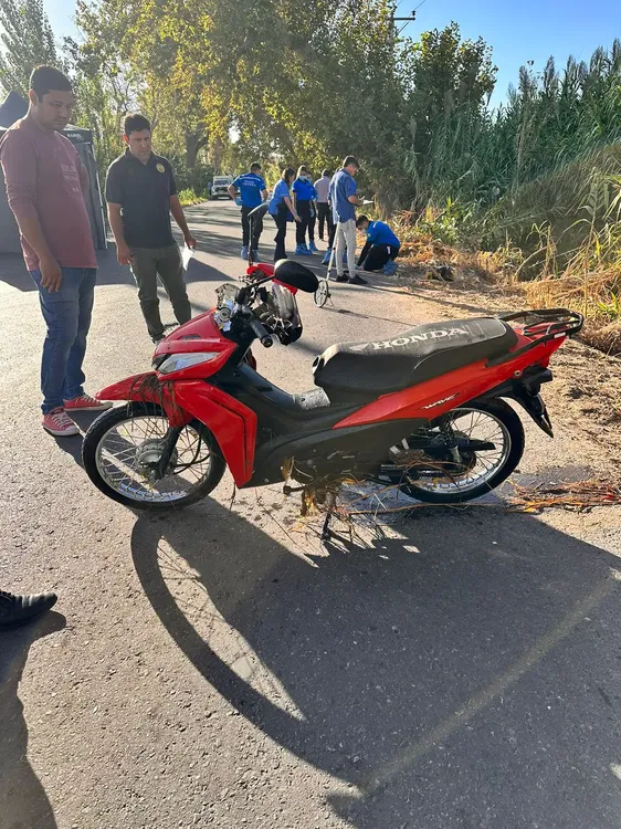 WhatsApp Image 2024-03-15 at 11.18.01 AM