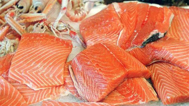 salmón