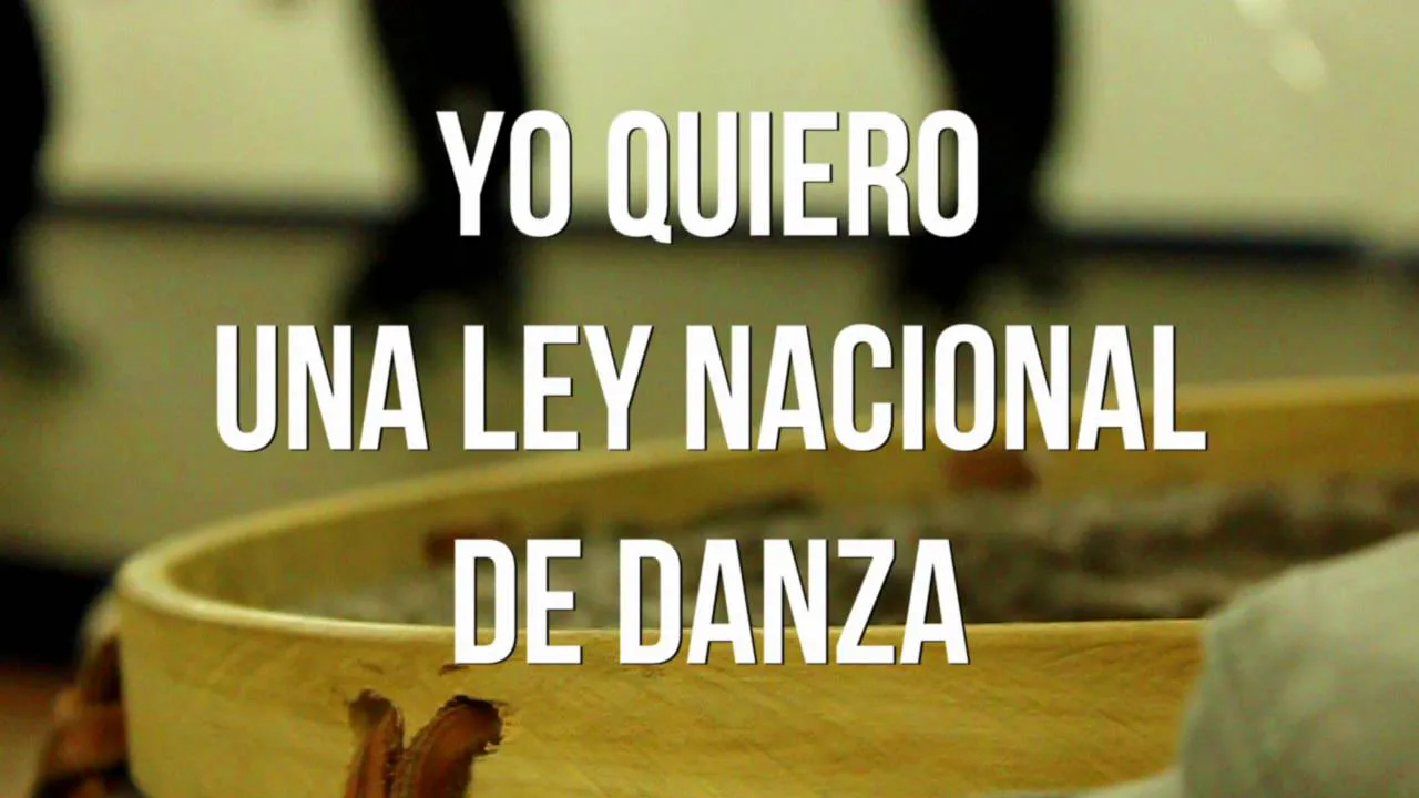 Ley Nac Danza