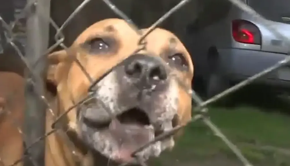 Captura de Pantalla 2026-01-05 a la(s) 09.57.10