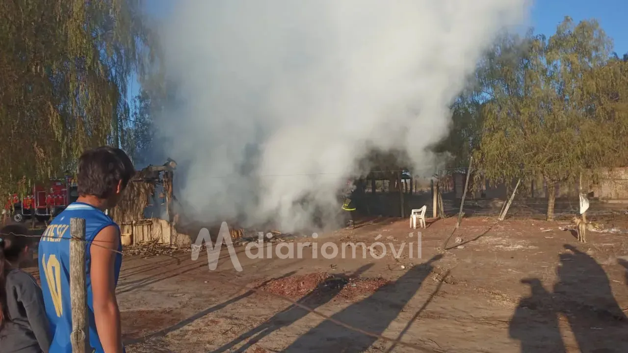 WhatsApp Image 2025-09-06 at 10.34