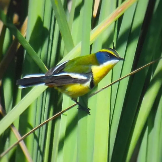 WhatsApp Image 2023-09-08 at 12.36.41 PM (1)