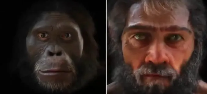 evolucion del rosdtro