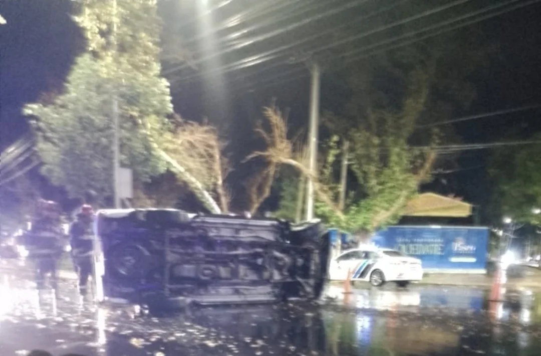 Screenshot_20260411_094256_WhatsApp