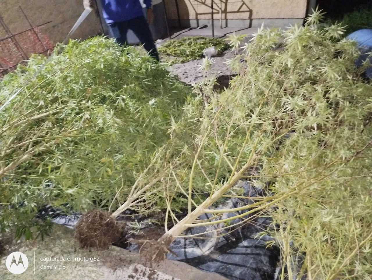 WhatsApp Image 2025-04-01 at 09.26.22