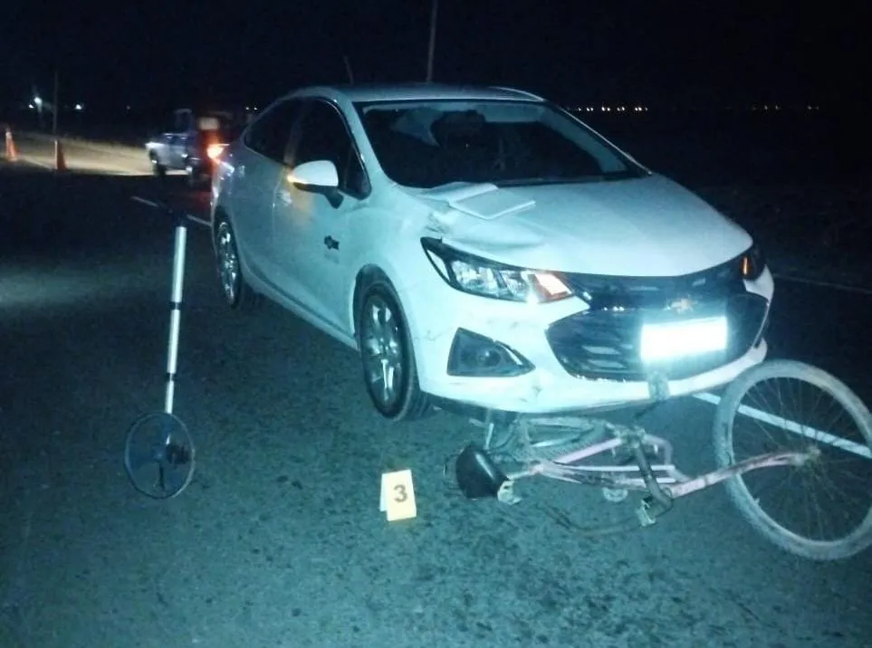 WhatsApp Image 2024-08-26 at 8.09.40 AM