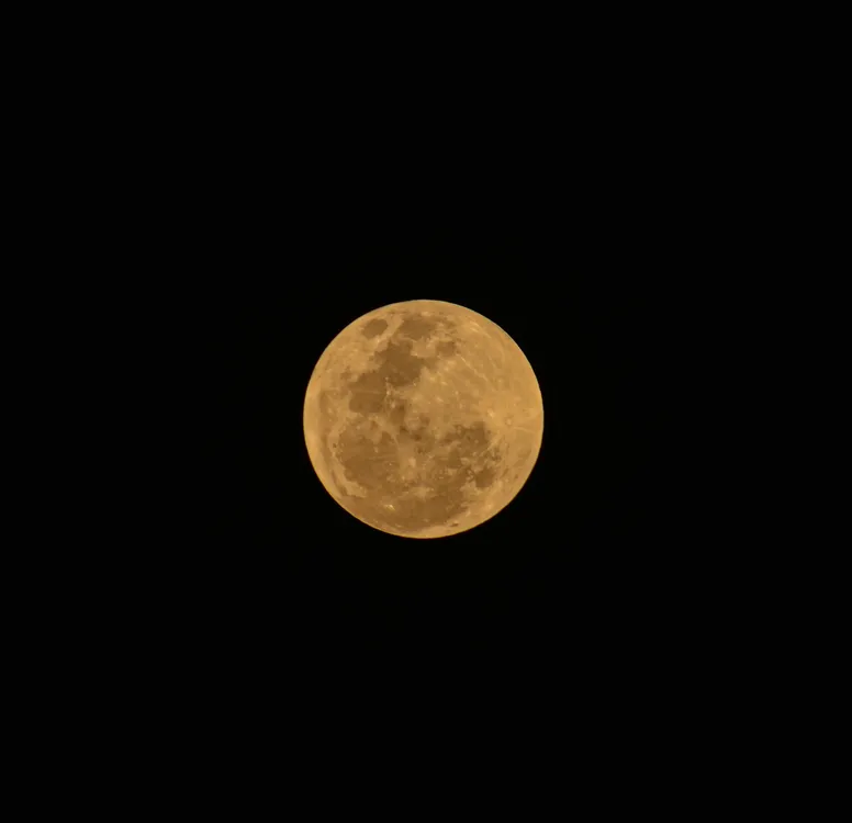 dc349a3a-79ab-43c9-8279-2b3920d74011