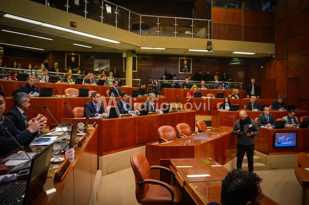 WhatsApp Image 2024-07-08 at 11.05.54