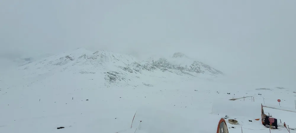 WhatsApp Image 2024-04-13 at 11.50.40 AM