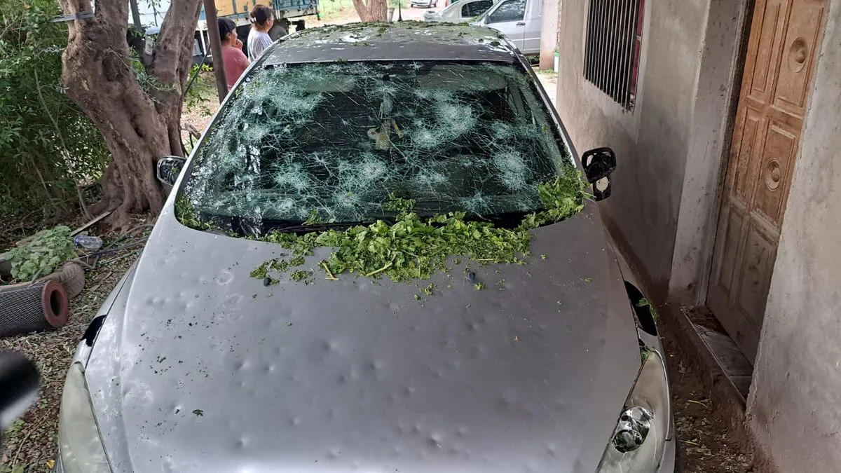 granizo-autojpeg
