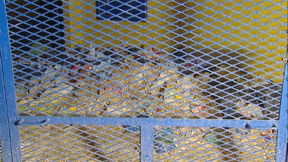 alimentos