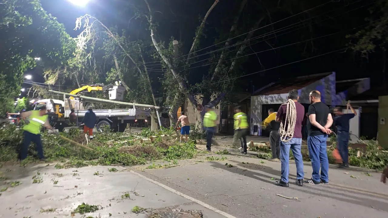 daf3877a-fadd-4735-8342-b0bf00bfb7c9