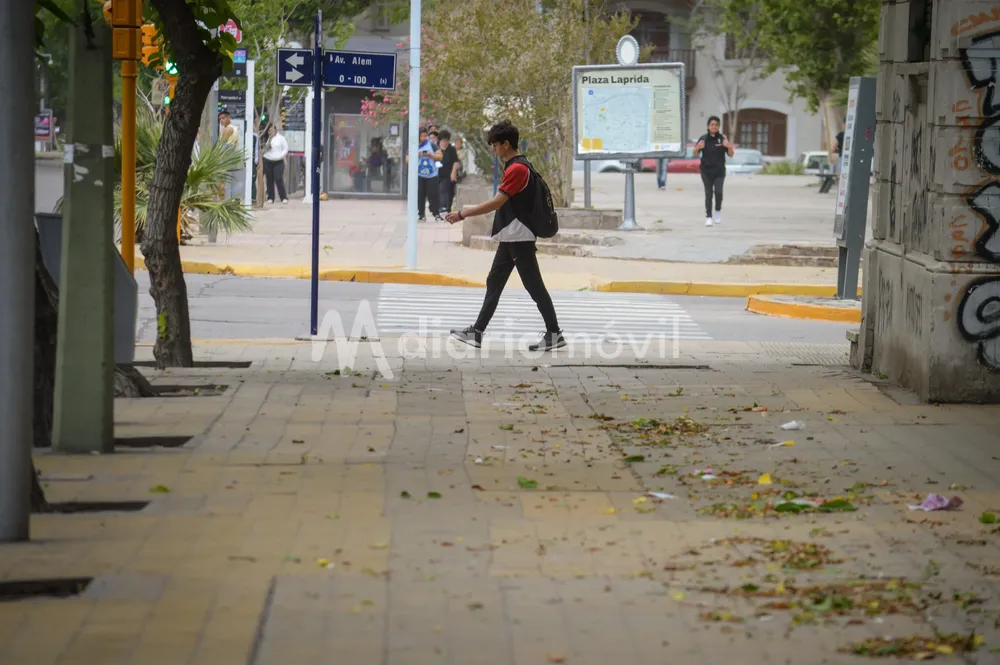 viento