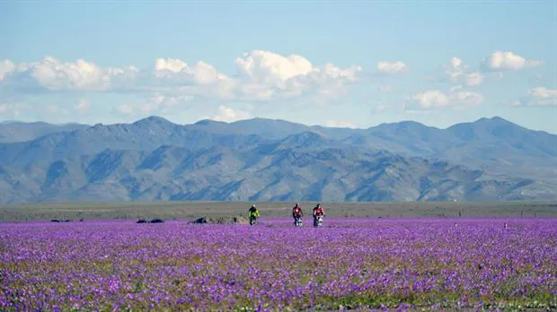Desierto-Atacama