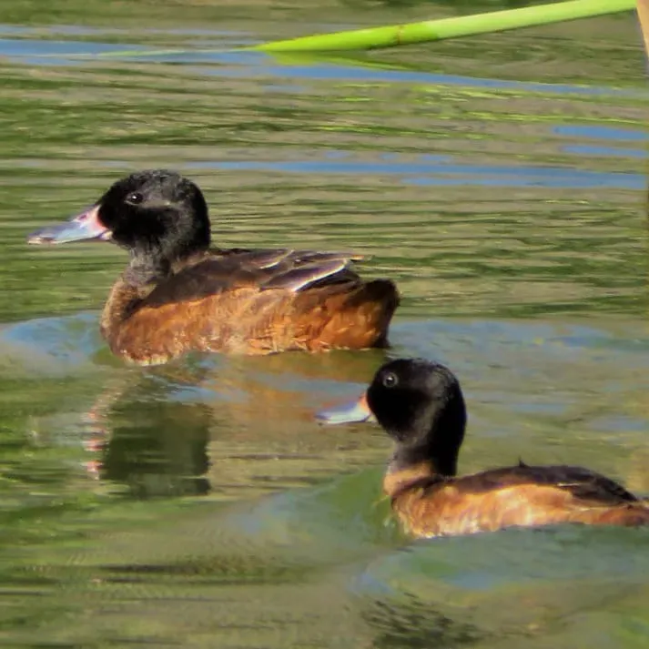 WhatsApp Image 2023-09-08 at 12.36.40 PM