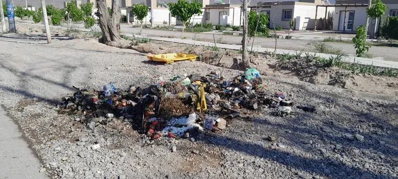 WhatsApp Image 2023-10-10 at 8.23.50 AM