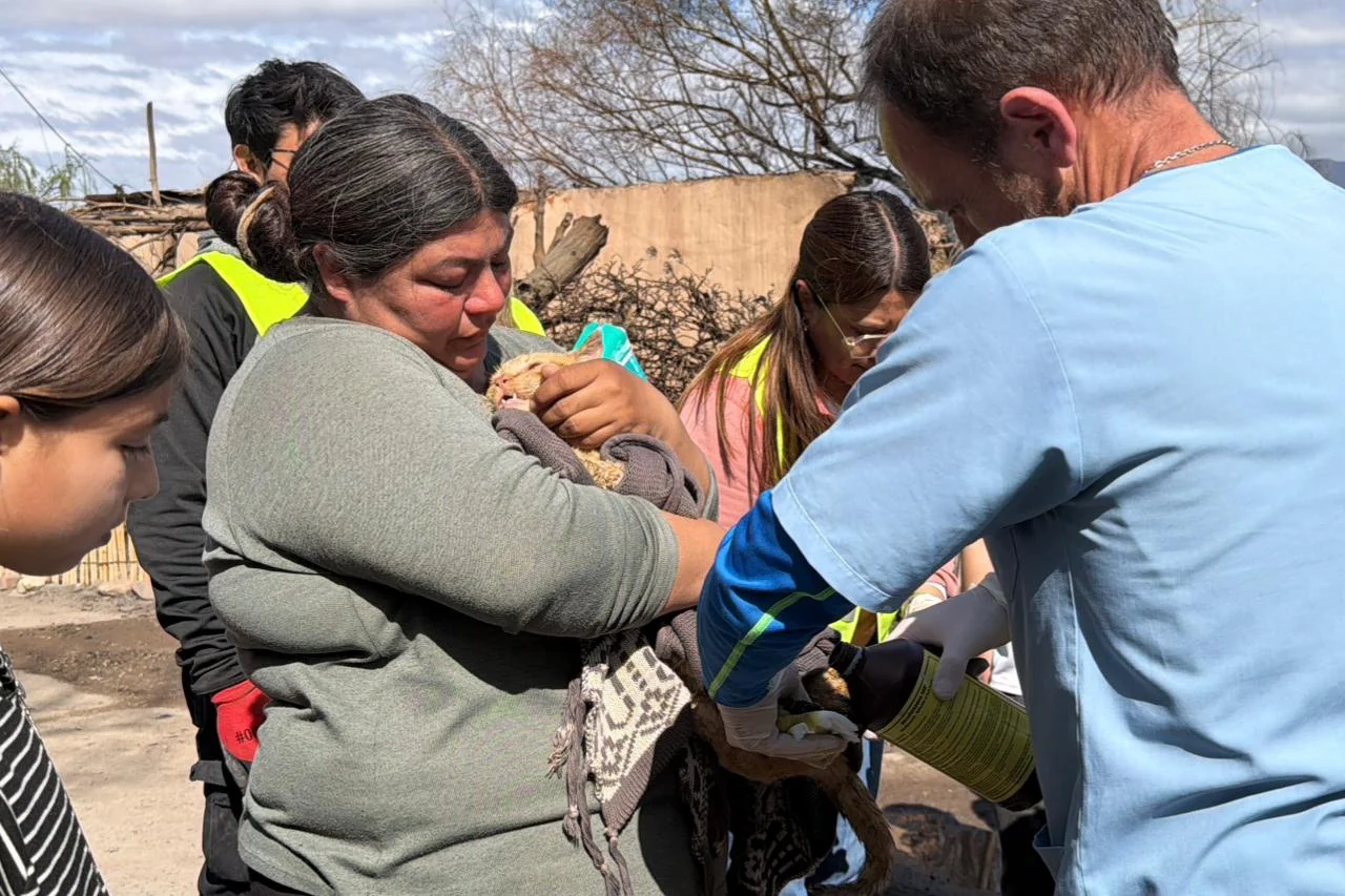 incendio viento zonda ruinas familias pérdidas