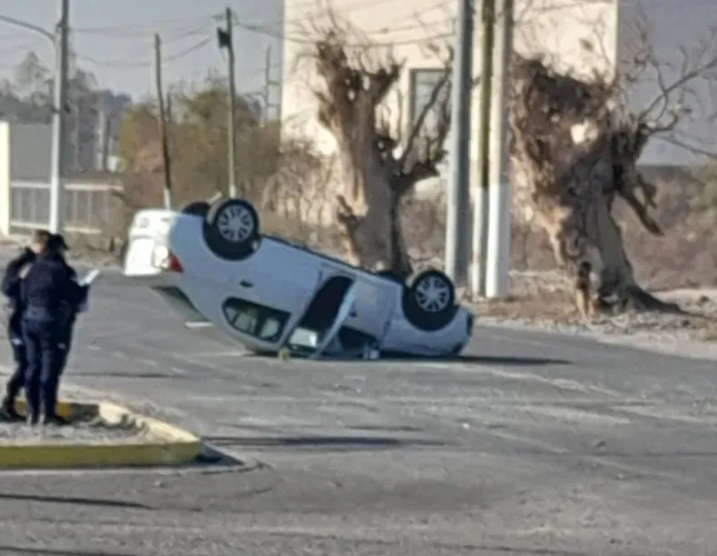 WhatsApp Image 2024-07-16 at 11.41.16 AM