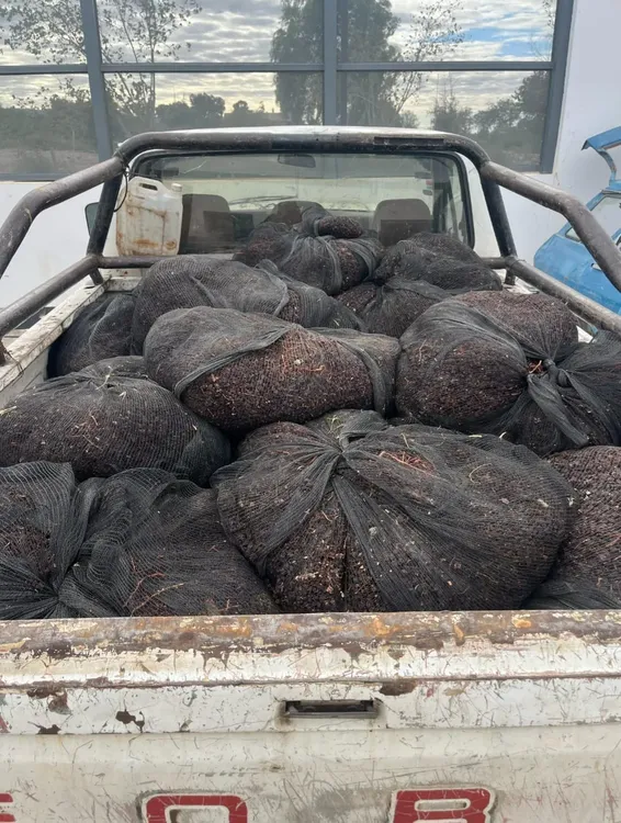 WhatsApp Image 2025-03-31 at 11.05.11