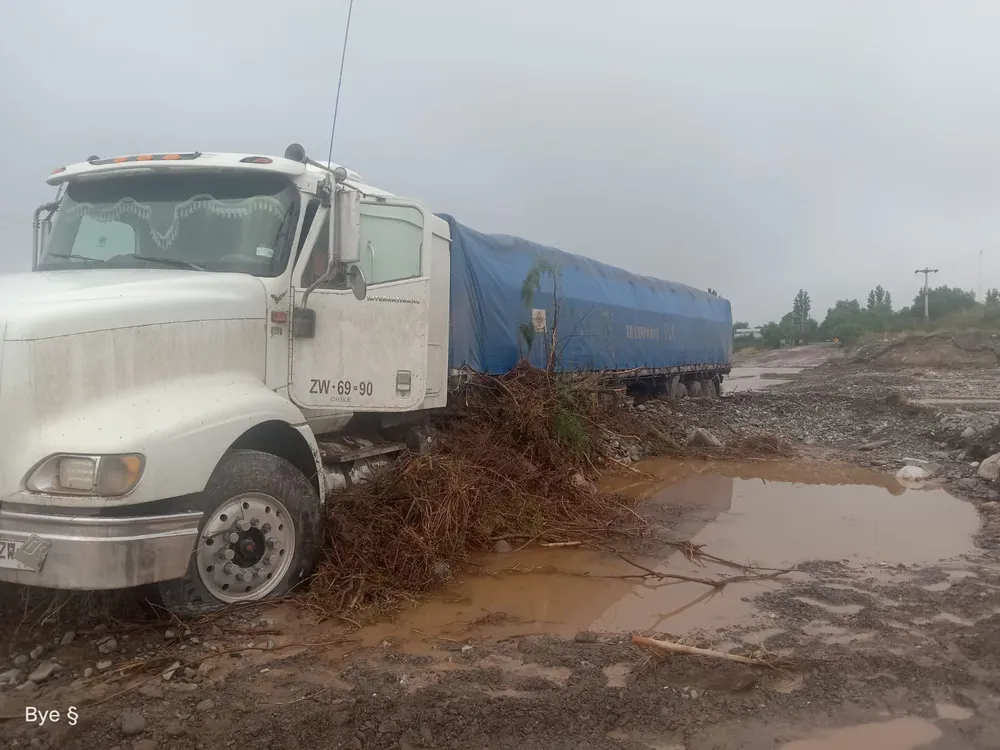 WhatsApp Image 2026-03-06 at 10.17.52