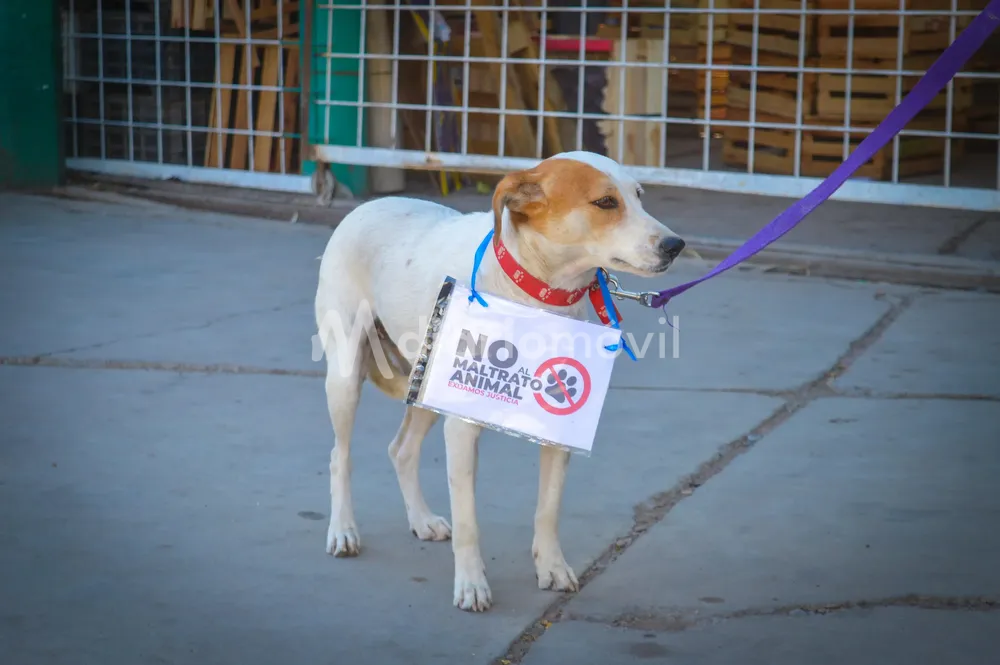 9ebe79f4-213a-4ff5-b060-c13311f99021