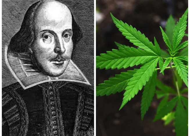 detectan-restos-de-cannabis-en-jpg_654x469
