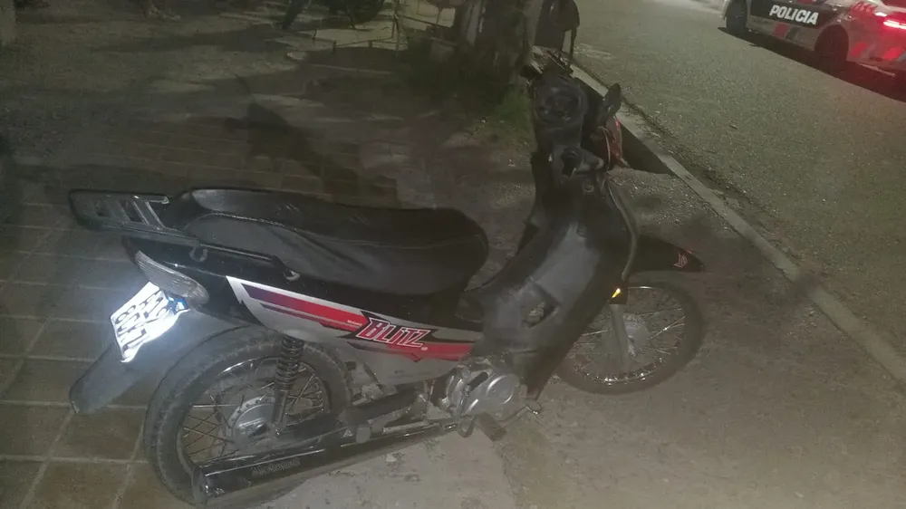 WhatsApp Image 2026-02-12 at 11.51.31