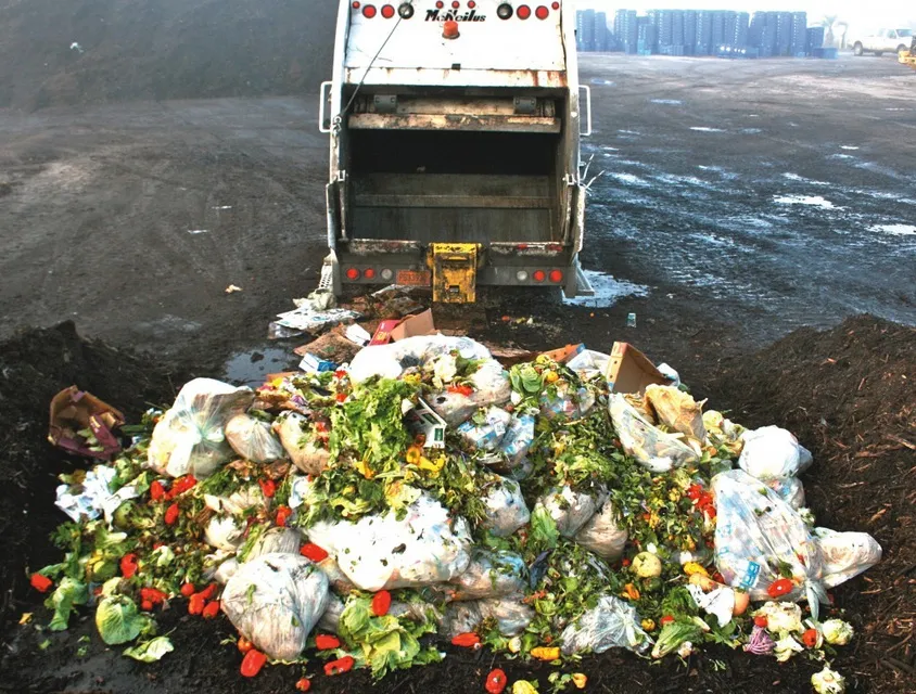 comida basura