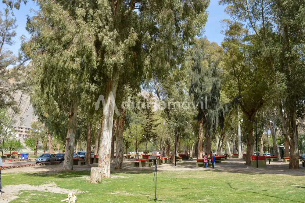 Camping de Rivadavia renovado9