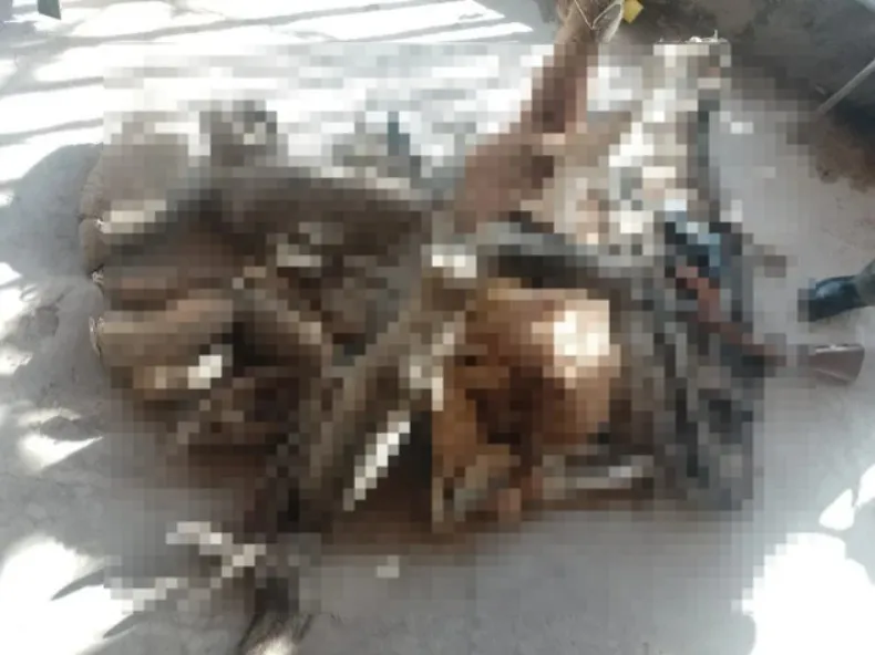 WhatsApp Image 2024-07-31 at 8.24.43 AM