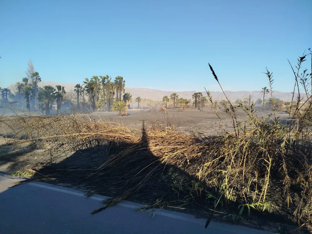 incendio 3