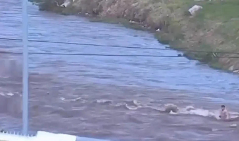 Ladrón río