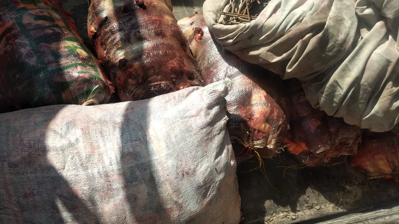 WhatsApp Image 2024-09-26 at 08.11.11